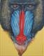 Mandrill