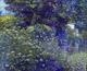 Cow parsley Crazy