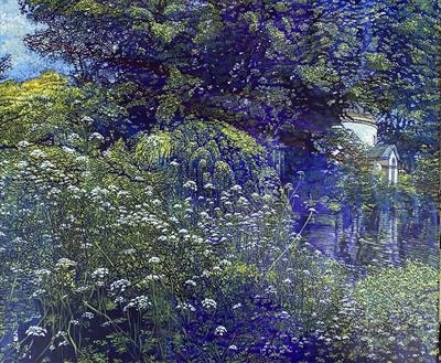 Cow parsley Crazy - Peter Thornborough