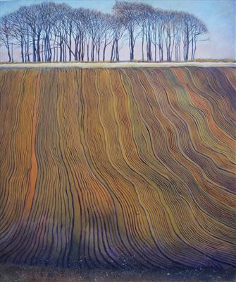 Sparsholt Down, Berkshire - Peter Thornborough